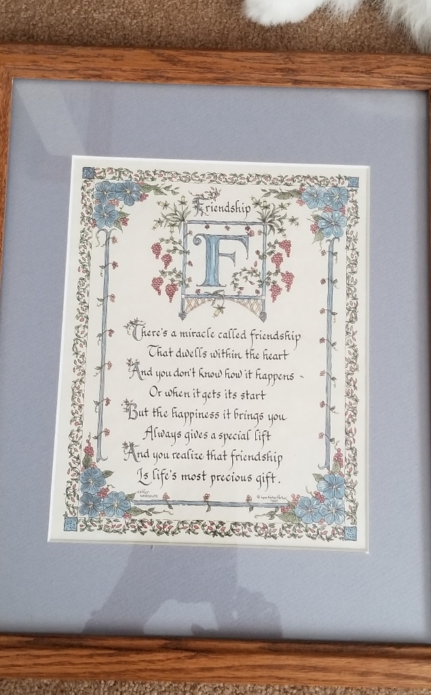 Framed picture of friendship verse